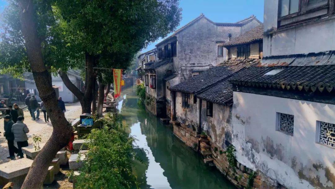 永清：万福迎春年味浓 笔墨丹青绘新春